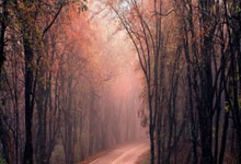 mk体育官网:WTA奥斯汀站-袁悦组合逆转抢十险胜 晋级女双决赛.