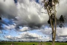 [图]段刘愚破门阿齐兹闪击 青岛西海岸2-0武汉三镇.