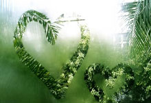 mk体育官网:升官了!张雨霏正式上任,升任体育学院副院长,27岁走向人生巅峰.